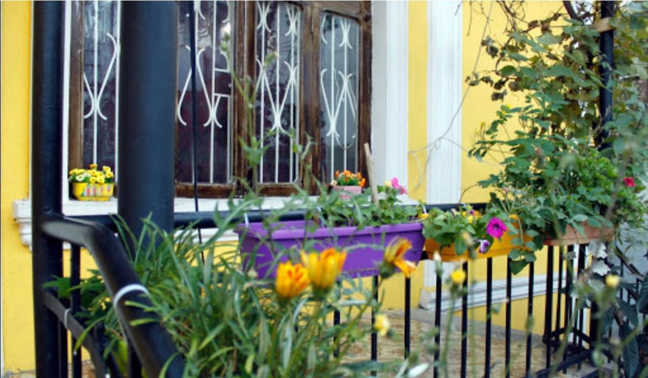 Colors Hostel Tiflis Exterior foto