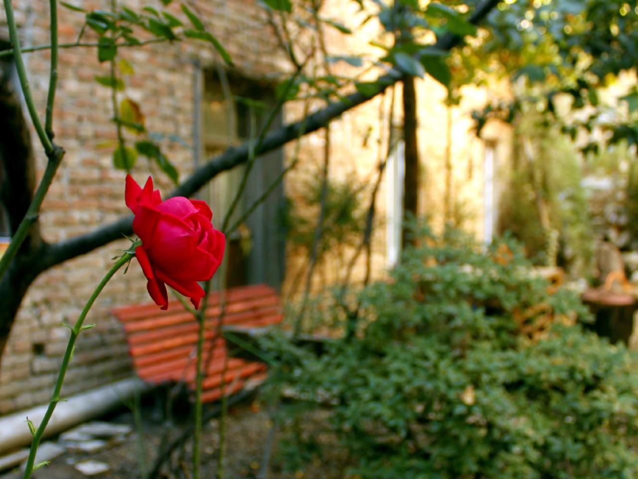 Colors Hostel Tiflis Exterior foto